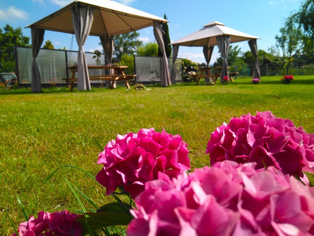 Casa Pepín - Sagasta Rural Guest House Oviedo Bagian luar foto
