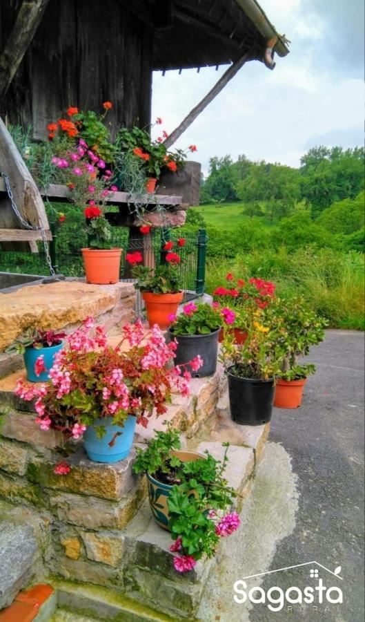 Casa Pepín - Sagasta Rural Guest House Oviedo Bagian luar foto